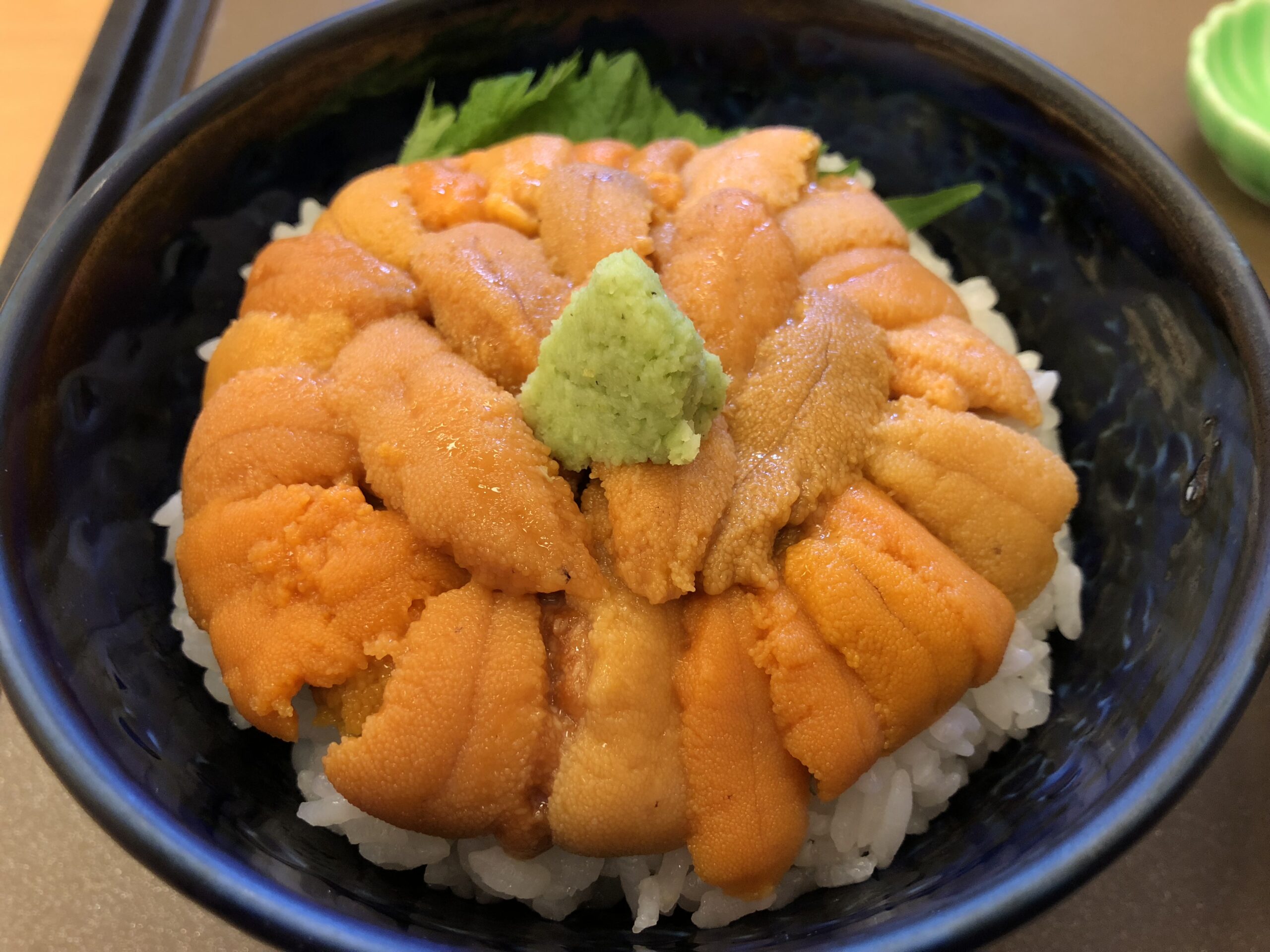 uni don (sea urchin rice bowl)